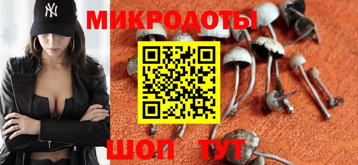 Галлюциногенные грибы мицелий Осинники
